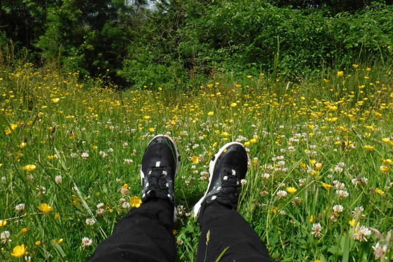 Open Aye. Photo of a pair of feet and legs lying on the ground in a field full of yellow flowers, grass and bushes.