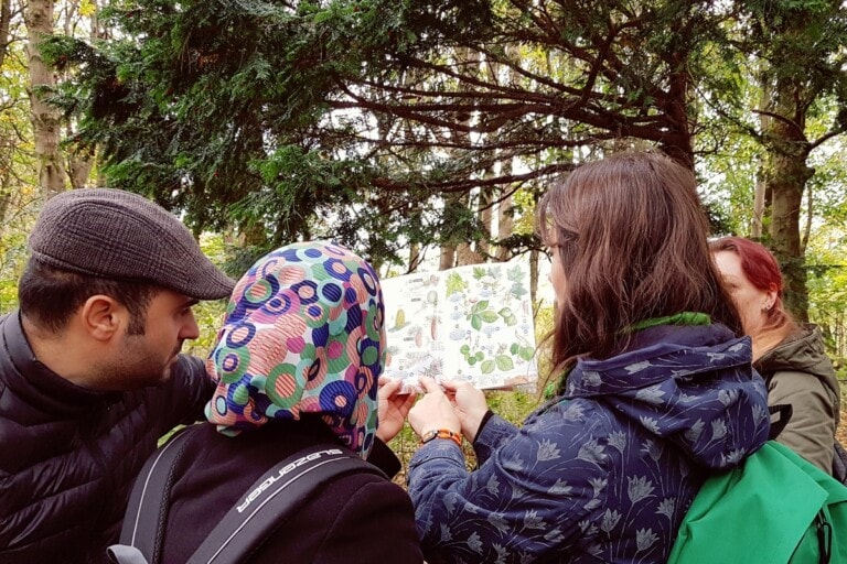 Open Aye. Group of people looking at a map in a forest.
